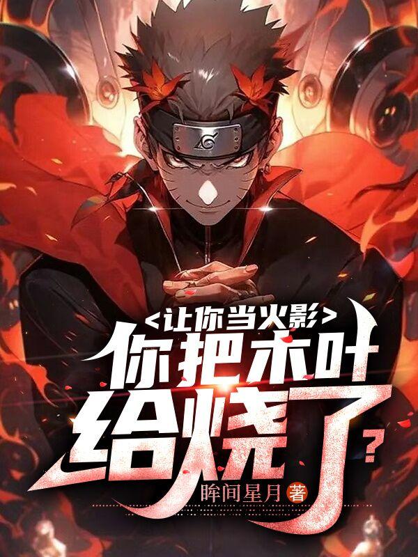 I asked you to be Hokage and you burned Konoha?