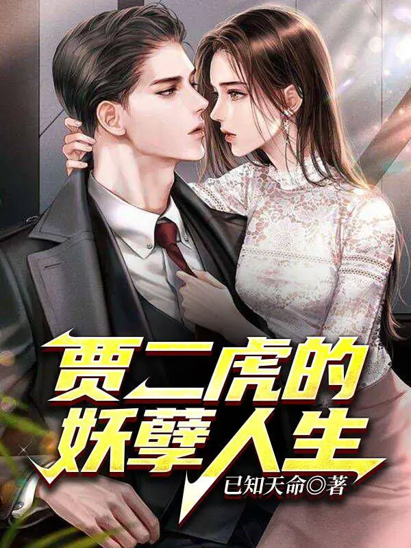 The evil life of Jia Erhu
